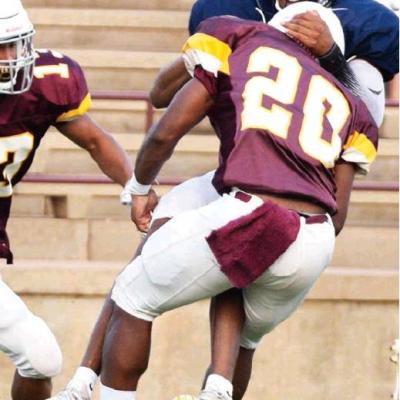 Article Image Alt Text