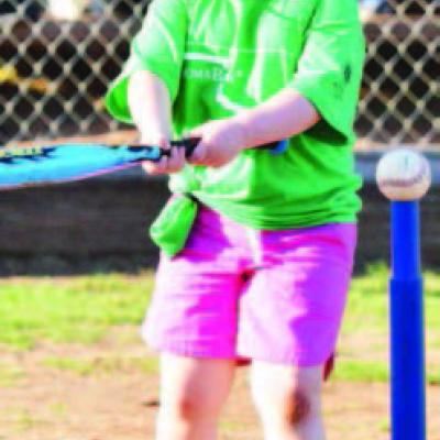 Article Image Alt Text