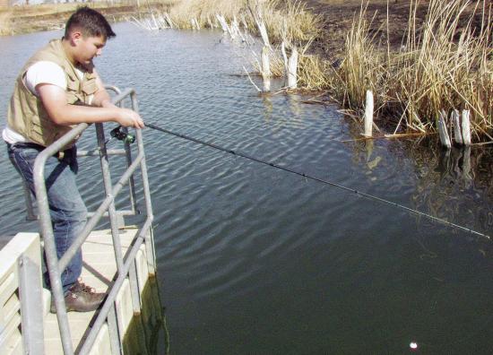 Here fishy, fishy, fishy